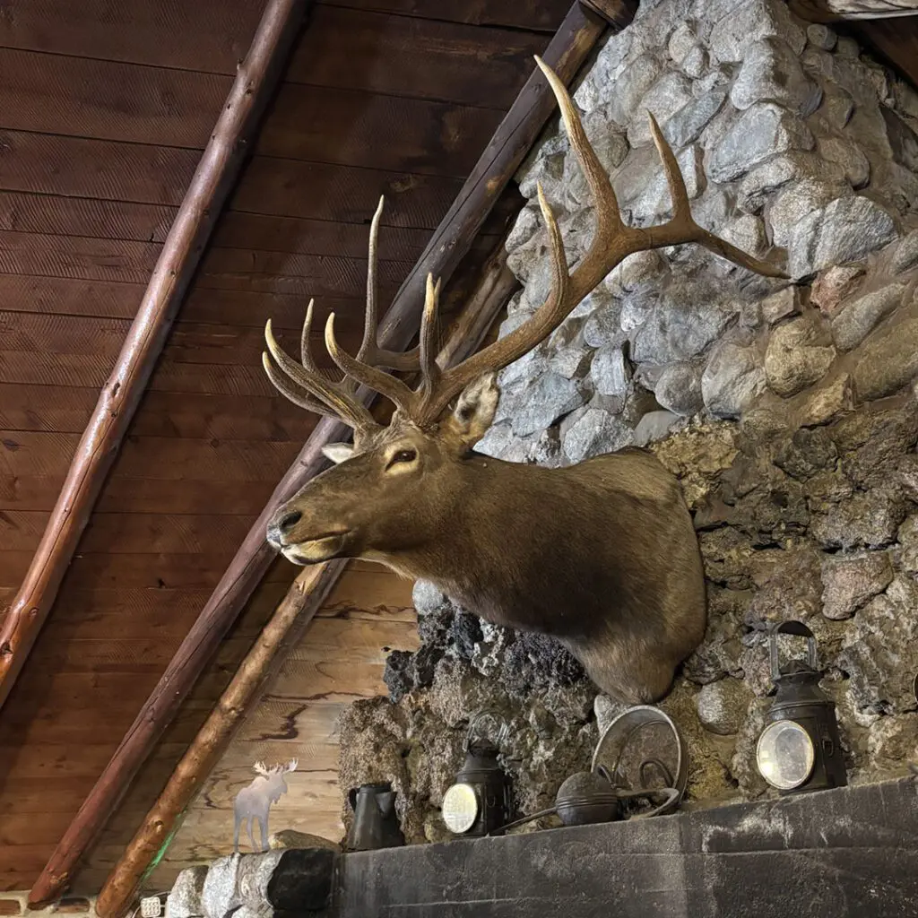Elk Taxidermy Mount hanging above a fireplace